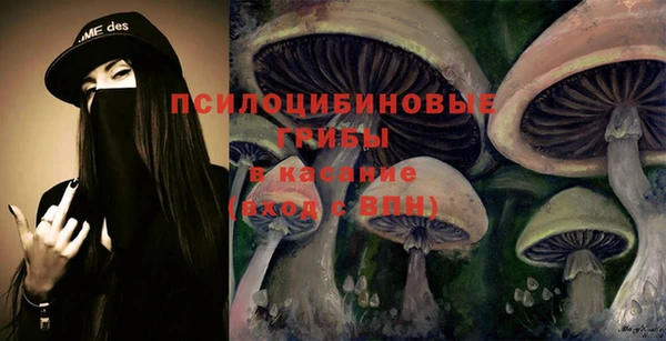 герыч Россошь