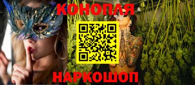 прущие грибы Комсомольск-на-Амуре