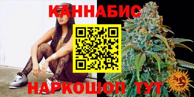 прущие грибы Комсомольск-на-Амуре