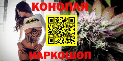 прущие грибы Комсомольск-на-Амуре